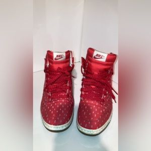 Nike Dunk High (womens 10)